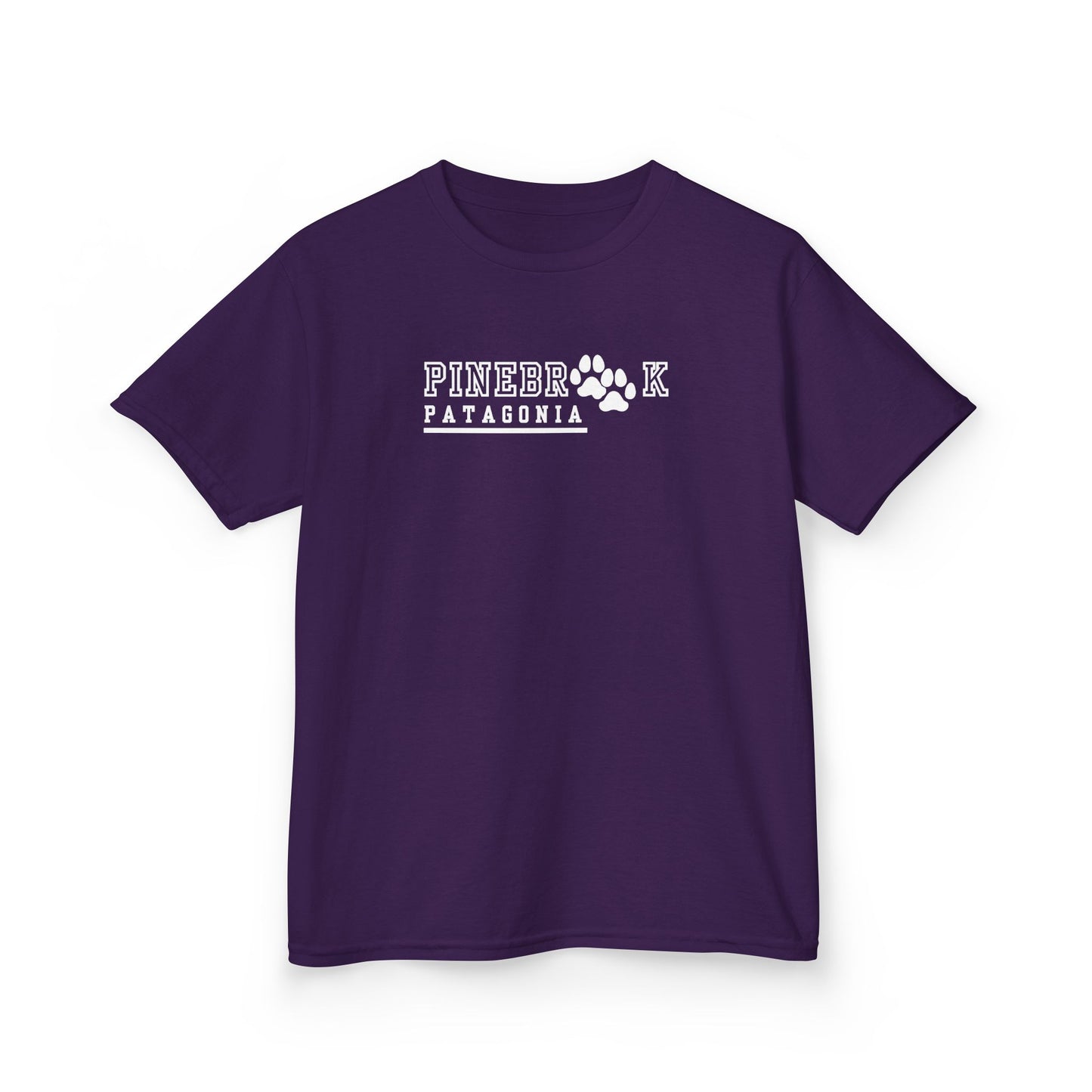 Youth T-Shirt - Patagonia - Pinebrook Elementary